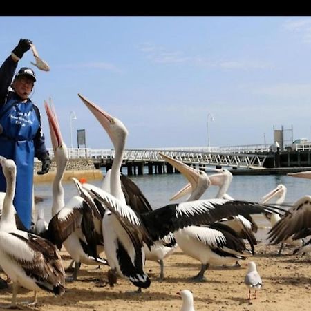 Relax In San Remo Pets Welcome Екстер'єр фото